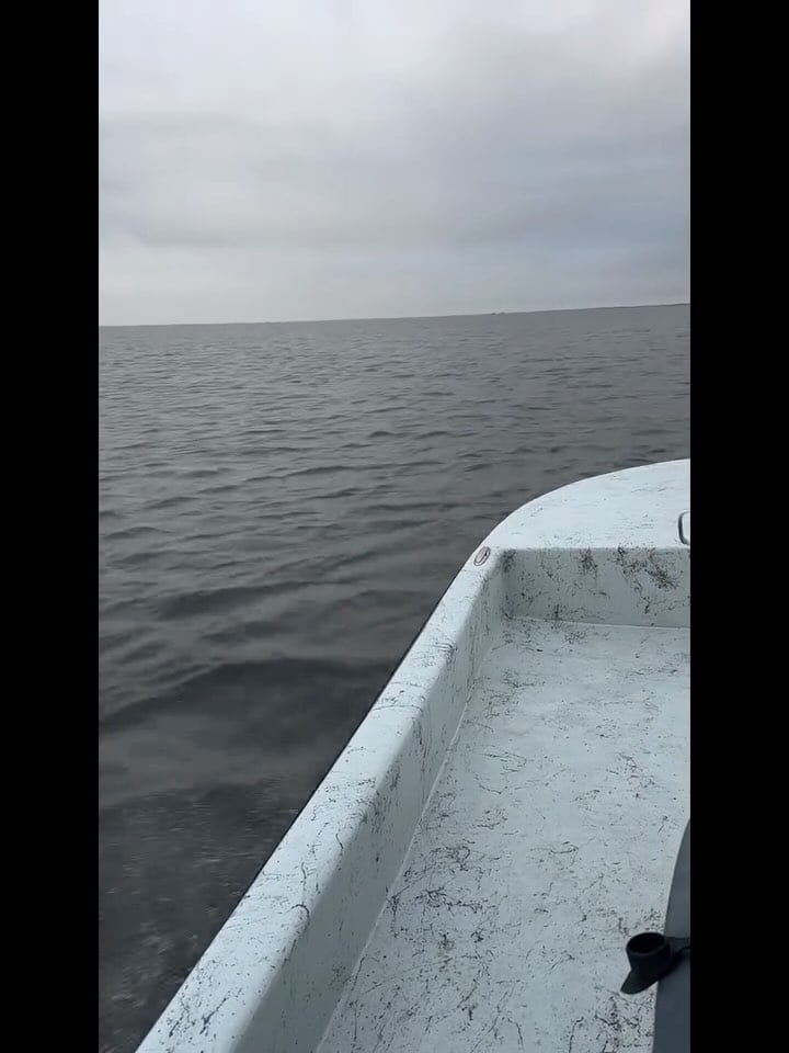 Last light over the bay from the boat